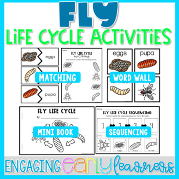 Preview of Fly Life Cycle Printable Word Wall & Activities | Preschool PreK Kindergarten