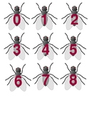 Fly Swatter Numbers (number matching, receptive, expressiv