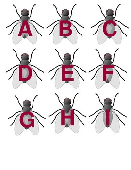Preview of Fly Swatter Uppercase Letters