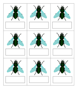 Fly Swatter Word Game YOU add the words by M and M Resources TpT