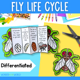 FLASH FREEBIE Fly life cycle foldable sequencing activity 
