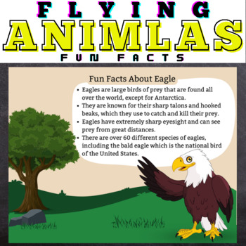 Preview of Flying Animals FACTS - Google Slides™ Included