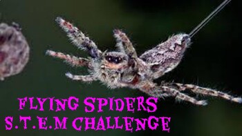 Preview of Flying Spiders S.T.E.M