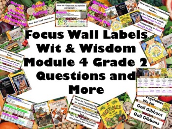 Preview of Focus Wall & Materials for Wit & Wisdom Module 4 Grade 2