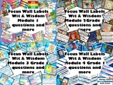 Focus Wall  and Materials for Wit & Wisdom for all Modules