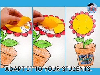 Fold And Learn What Do Plants Need By Lita Lita Tpt