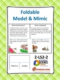 Animals Seeding/Pollination-Foldable/Mimic/Hands On: NGSS 