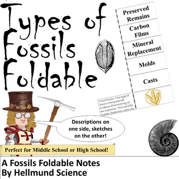 Foldable- Types of Fossils by Hellmund Science | TPT