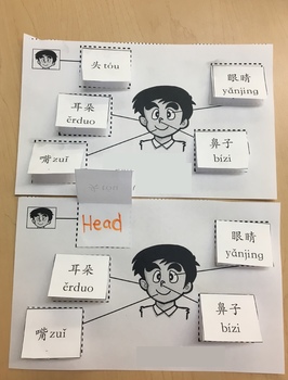 Preview of Foldable Graphic Organizer- Chinese Body Parts 身体部位