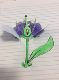 Foldable, interactive notebook parts of the flower, flower