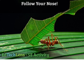 Preview of Follow Your Nose - How Animals Use Smell for Communication - Home User Activity