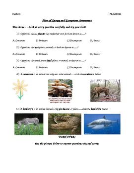 Preview of Follow of Energy and Ecosystem Assessment 5th Grade Science Quiz Special Ed.