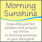 Font: Morning Sunshine (True Type Font)