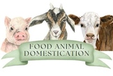 Food Animal Domestication FOLDER/Bundle