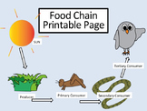 Food Chain