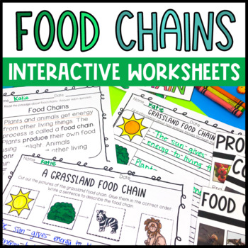 Preview of Food Chain Activities and Worksheets | First and Second Grade