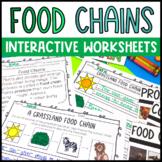 Food Chain Activities and Worksheets | First and Second Grade