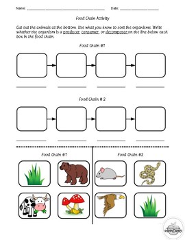 Food Chain Activity by Intervention Inventions | TpT