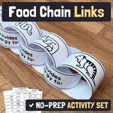 Food Chain Activity | Animal Ecosystem Food Chain Craft, N