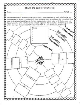Preview of Food Chain Activity: Thank the Sun for Your Meal!