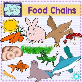 Preview of Food Chain Animals clipart