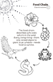 Food Chain Coloring Page