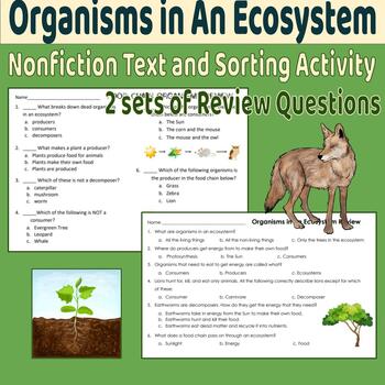 Organisms in a Food Chain Sort Cut & Paste: Producer, Consumer, or