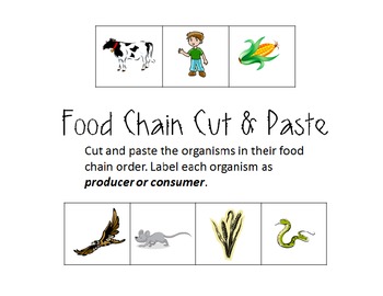 Preview of Food Chain Cut and Paste (Producers/Consumers)