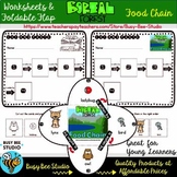 Food Chain Cut And Paste Worksheets & Teaching Resources | TpT