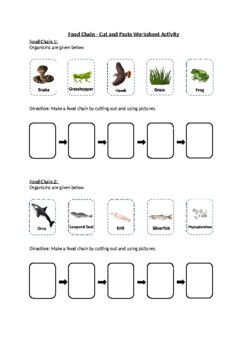 Food Chain - Cut and Paste Worksheet Activity (Printable) by Science ...