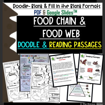 Preview of Food Chain Doodle | Food Web Doodle and Reading Passages – PDF, Google SlidesTM