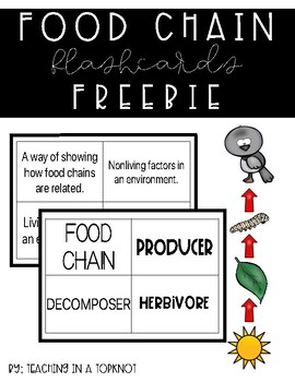 Preview of Food Chain (Ecosystem) Flashcards FREEBIE