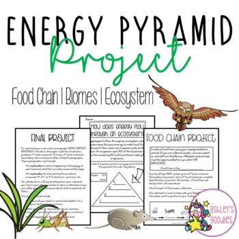 Preview of Food Chain | Energy Pyramid | Biomes Activity | Project