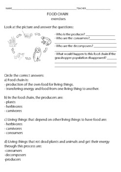 Food Chain Exercises - PRINTABLE - no prep - Biology - grades 2 to 5