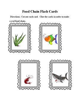 Preview of Food Chain Flash Cards