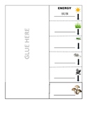 Food Chain Foldable