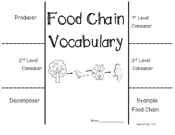 Food Chain Foldable by Beth Stiltner | TPT