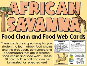 african savanna food chain diagram