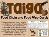 Food Chain & Food Web Cards - Taiga (or Boreal Forest) Ecosystem