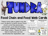 Food Chain & Food Web Cards - Tundra Ecosystem