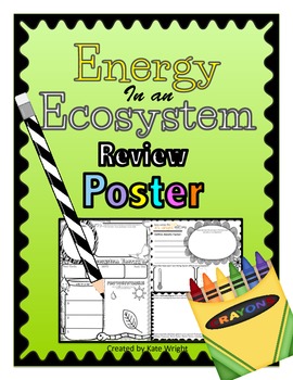 Preview of Food Chain, Food Web, Ecosystem Energy Review POSTER Activity