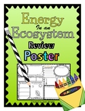 Food Chain, Food Web, Ecosystem Energy Review POSTER Activity
