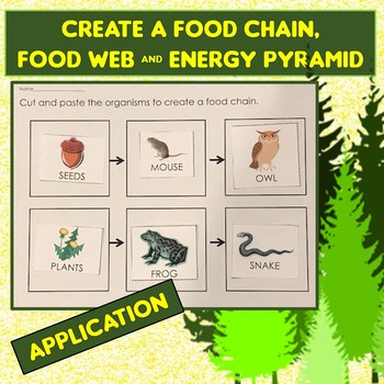 Food Chain, Food Web, Energy Pyramid Cut and Paste by Scienceisfun