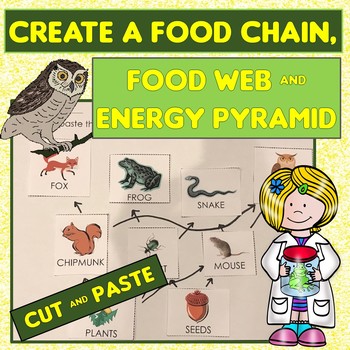 Preview of Food Chain, Food Web, Energy Pyramid Cut &Paste Application, Practice or Assess