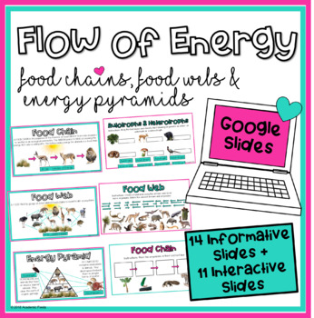 Preview of Food Chain, Food Web, Energy Pyramid Google Slides (info & interactive activity)
