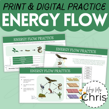 Preview of Food Chain, Food Web, & Energy Pyramid Practice