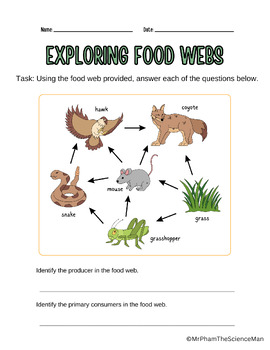 Food Chain & Food Web Reading Passage and Questions Worksheet | TPT