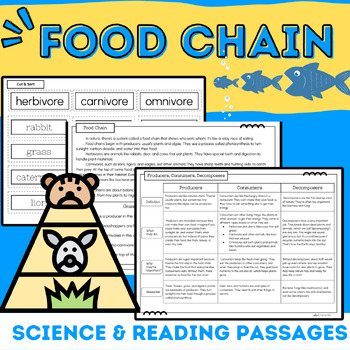 Preview of Food Chain & Food Web: Science & Informational Reading Passages & Worksheets