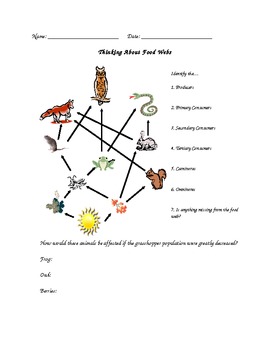 Food Chains and Food Webs Science Worksheets 2nd and 3rd Grade