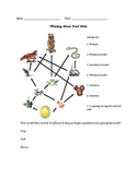 Food Chain - Food Web Worksheet and Simulation Activity Cards